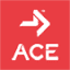 acefitness.org