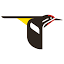 allaboutbirds.org
