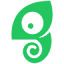 chameleon.io