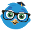 edubirdie.com