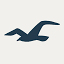 hollisterco.com
