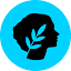 metis.io