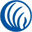 nami.org
