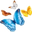 nationwidechildrens.org