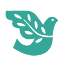 peacehealth.org