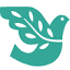peacehealth.org