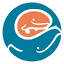 seattlechildrens.org