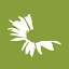 wildflower.org